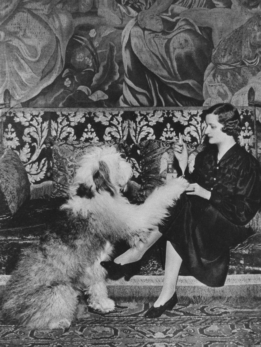 Mujer sentada en un sillón y un perro dándole la pata.