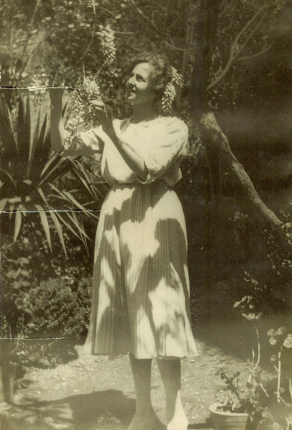 Mujer en un jardín mirando las flores de un árbol.